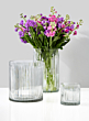 Arrow Stripe Etched Glass Vases