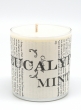 Blithe & Bonny Eucalyptus Mint Scented Candle