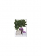 cement-cube-foliage-display-florists-review