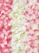 Cream & Pink, Cream & Green, & Pink Paper Rose Petals