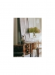 dining-room-makeover-ryan-korban-real-simple-april_View
