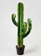 44in Candelabra Cactus