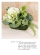 green energy cabbage kale succulent arrangement