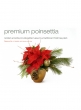 florists-review-oct-2008-poinsettia-arrangement