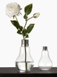 Glass Light Bulb Vases