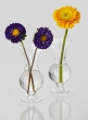 6in Clear Glass Trumpet Bud Vase, Set of 2
