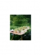 basil variegated thyme outdoor spring summer table centerpiece