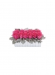 pink-rose-reinventions-valentines-day-flowers