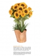 priarie patch sunflower flower arrangement