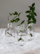 Clear Glass Mini Milk Bottle Vase, Set of 6