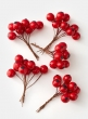 Large Red Berry Pick, Set of 5