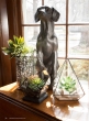 succulent terrarium with dog statue home decor display