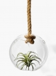 8 ½in Glass Sphere On A Rope