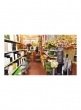 time-out-new-york-best-garden-store-jamali