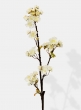 White Quince Spray, 30in